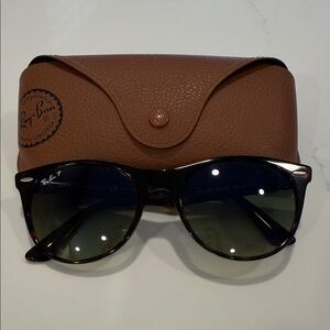 Ray-Ban Polarized Tortoise Frame Sunglasses